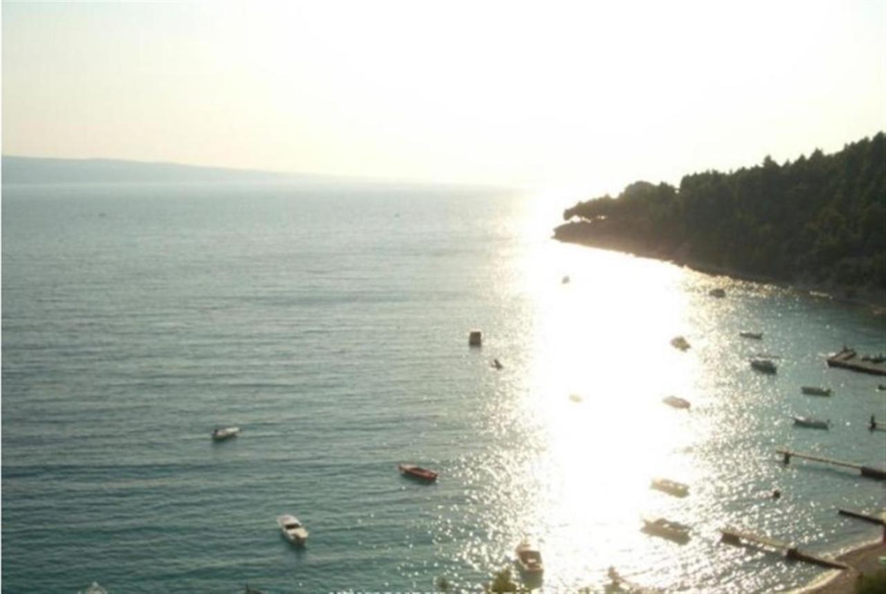 Apartment Velika Luka - Stanici